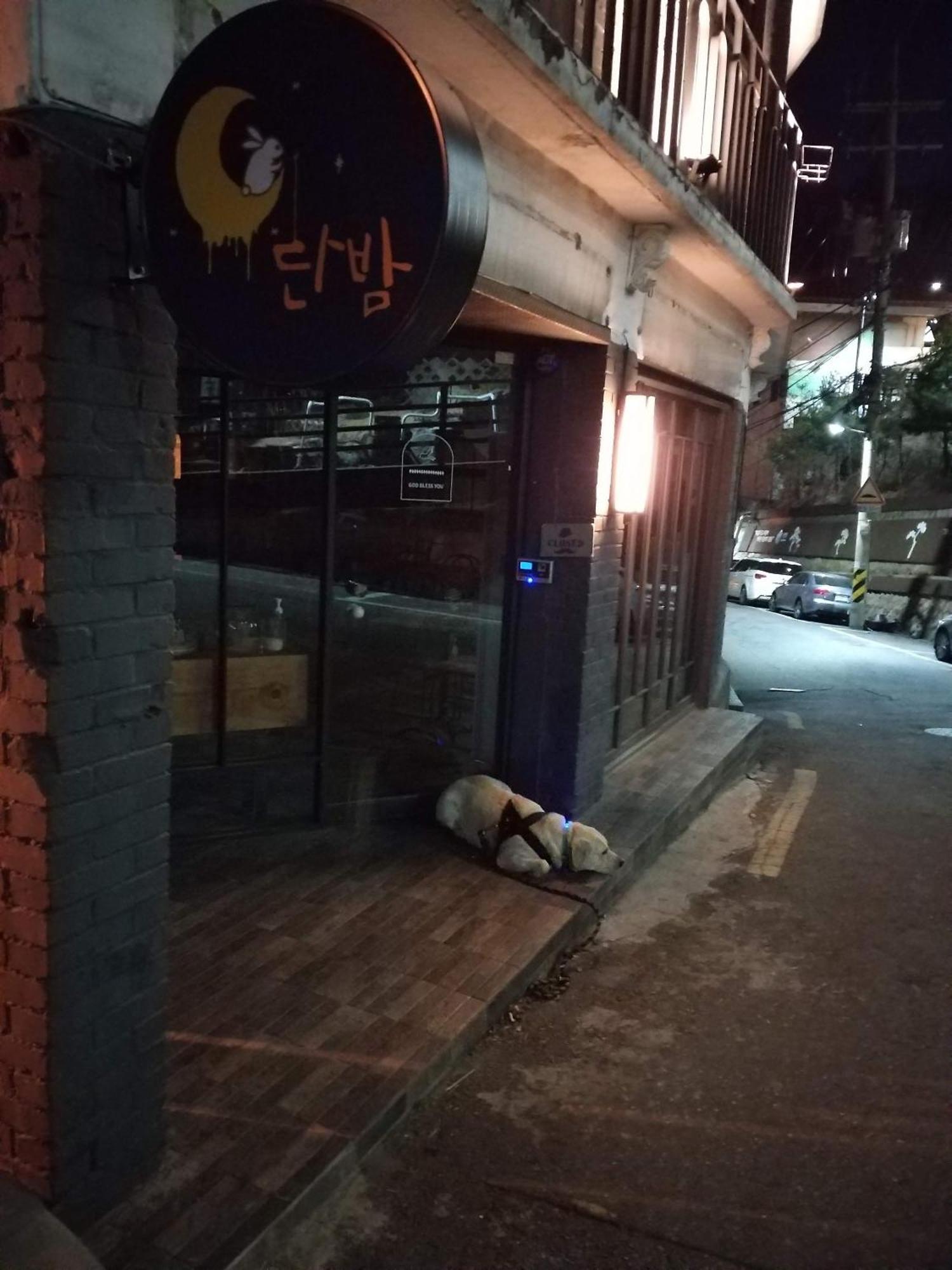 Cozy Private Home Newly Renovated #3 Seoul Exterior photo